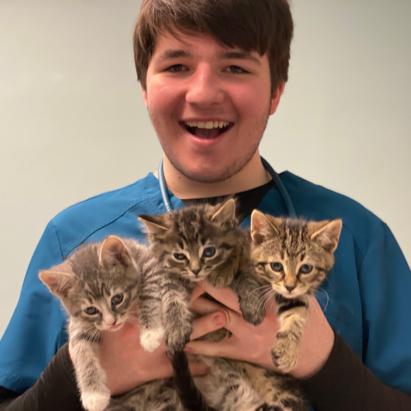 andrew holding 3 cats